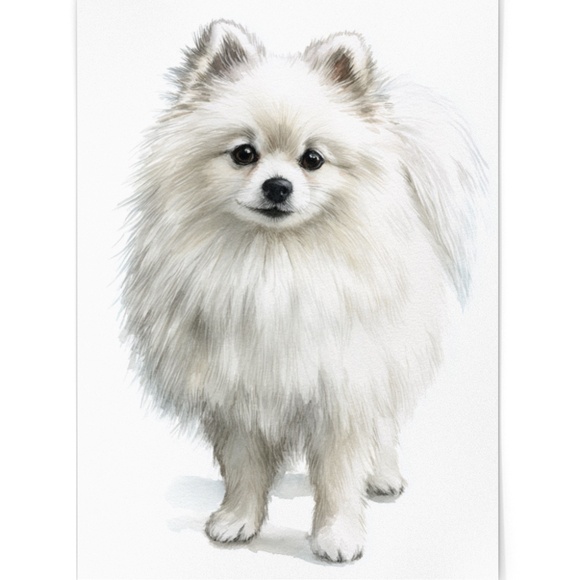 Watercolor Pomeranian Dog Portrait Art Print – Unframed Fine Art Poster - Picture 2 of 5